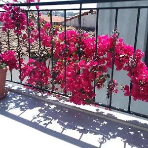  Hotel Casa Magnolia Boutique Turquie
